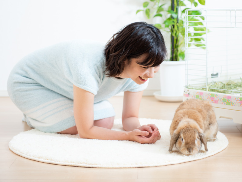 来院時にはその子の状態がお分かりになる方がお連れください