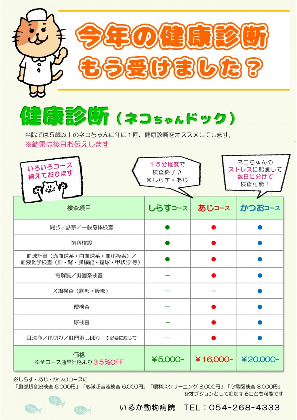 猫健康診断ちらし(いるか様)2020.6_pages-to-jpg-0001