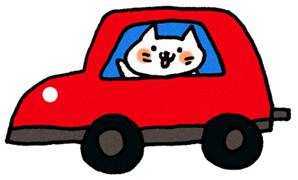 猫と車