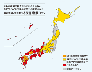 SFTS発生2019